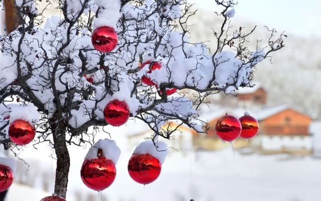 Will You Have a White Christmas This Year? Latest Weather Forecast