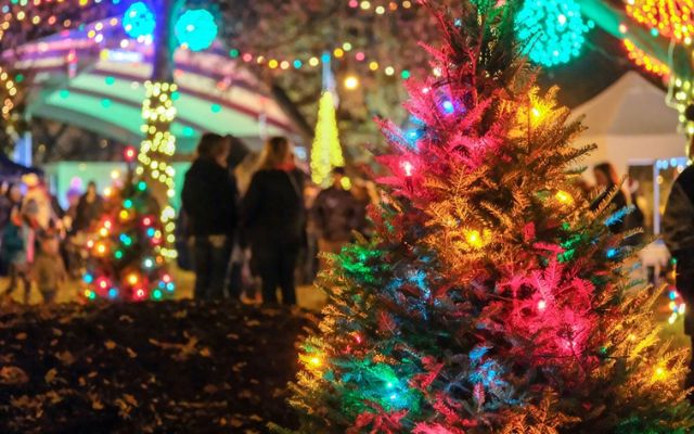 Kzoo Parks' December to Remember Event Was Cancelled Due to Bad Weather