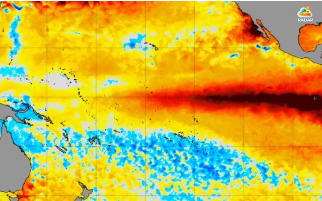 Sea surface temperature anomalies from NOAA Coral Reef Watch on October 7, 2026
