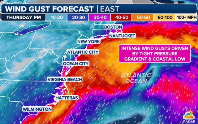 Wind gust forecast from FOX Weather