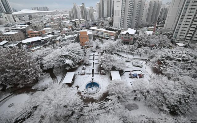 Photos Show Seoul Blanketed by Heaviest November Snow on Record